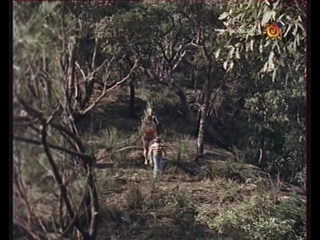 skippy / skippy the bush kangaroo. (1967) (australia)