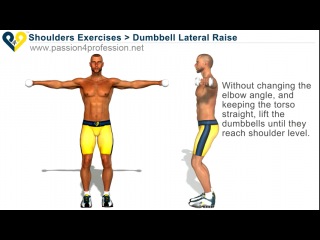 basic shoulder exercises