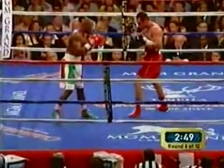 floyd mayweather - oscar de la hoya