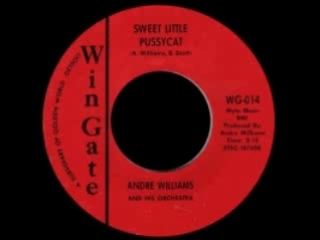 andre williams - sweet little pussy cat