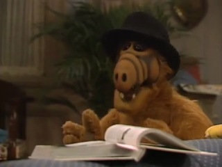 alf ate cotton (frank sinatra new york)