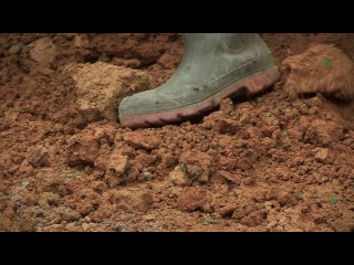 ant planet. inside look (episode 1 / 2012)