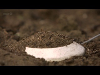 ant planet. inside view (episode 2 / 2012)