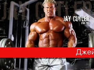 all mr. olympia and the best bodybuilders of all time group about sports and bodybuilding life is